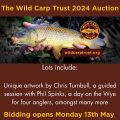 Wild Carp Trust Auction 2024