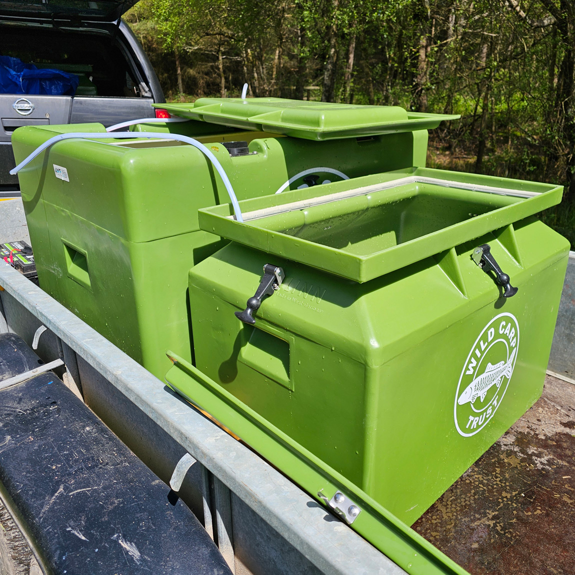 wild carp trust transport tanks