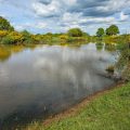 wild carp trust conservation pool