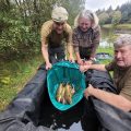 wild carp trust committee vacancies