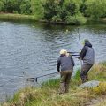 Llyngwyn carp rehoming May 2024